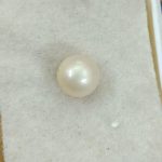 Pearl (SouthSea) 5.10 Crt